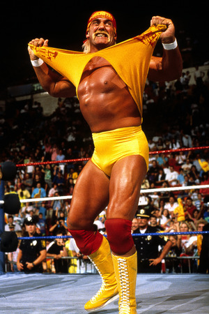 "The Hulkster"/Ls X|[cW {fBr