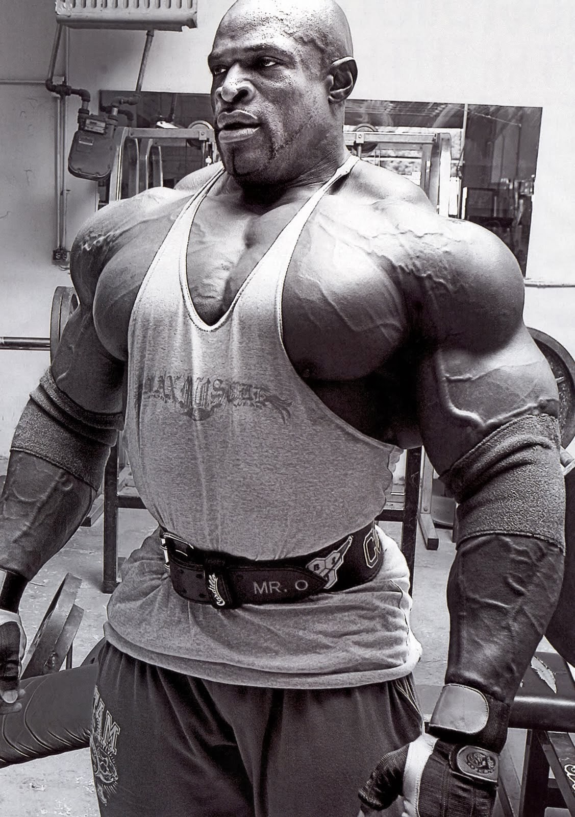 Ronnie Coleman/Ls X|[cW {fBr